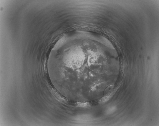 X0000084560185200703021433