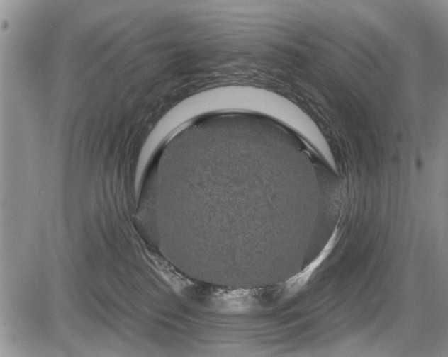 X0000084560186200703021433