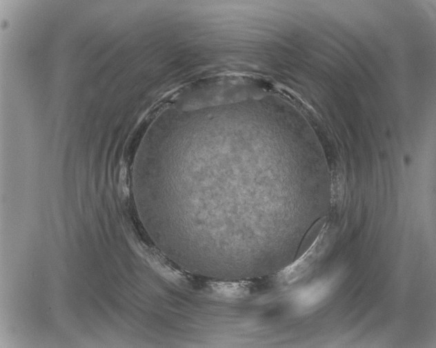 X0000084560187200703021433