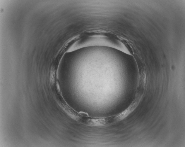 X0000084560188200703021433