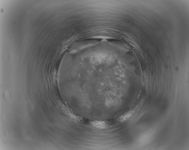 X0000084560189200703021433