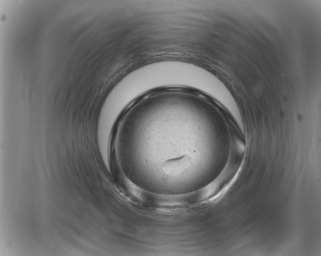 X0000084560190200703021433