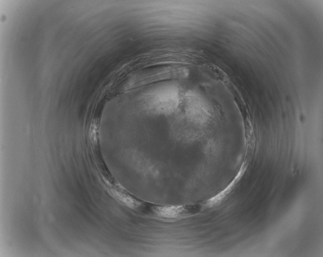 X0000084560191200703021433