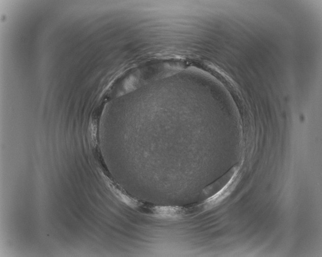 X0000084560192200703021433