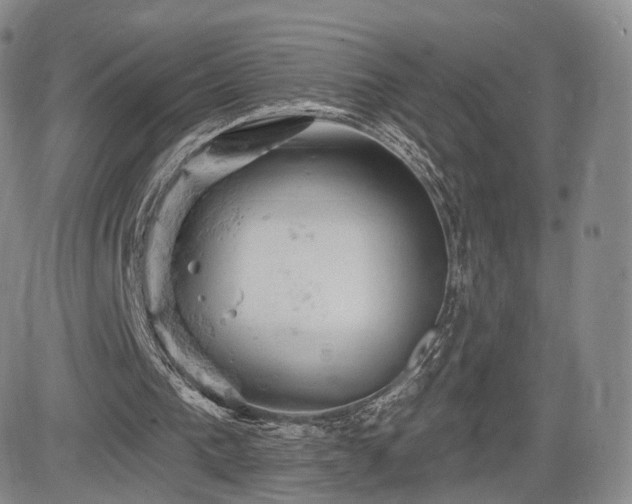 X0000084560193200703021432