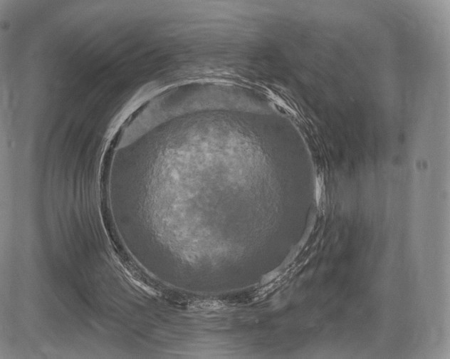 X0000084560195200703021432