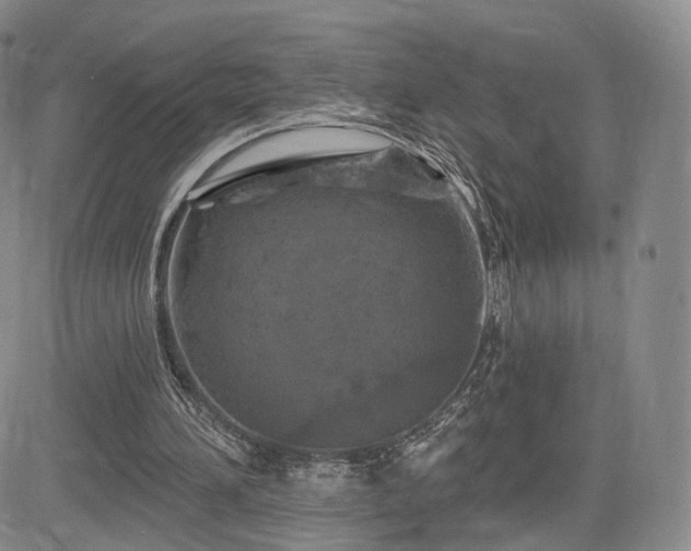 X0000084560196200703021432