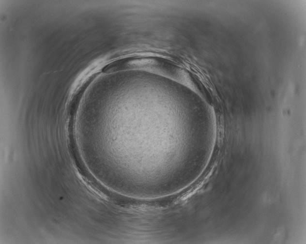 X0000084560197200703021432