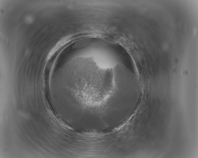 X0000084560198200703021432