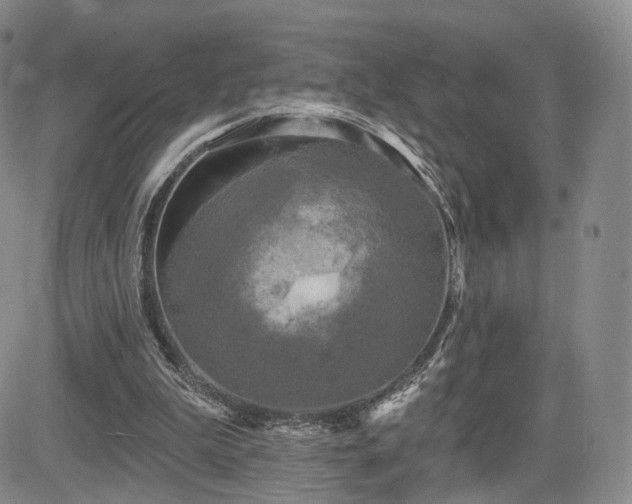 X0000084560199200703021432