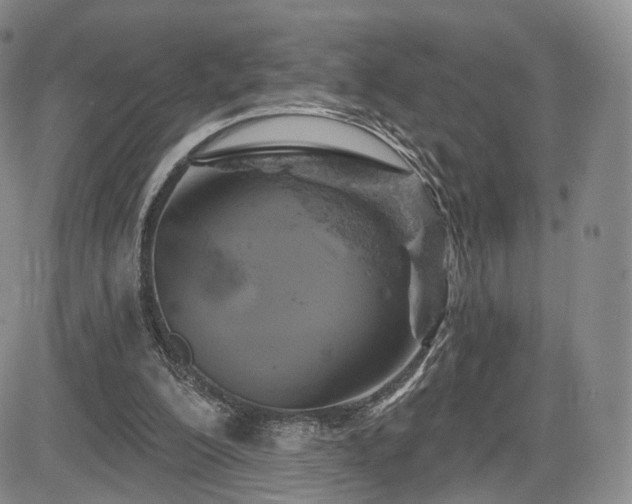 X0000084560200200703021432