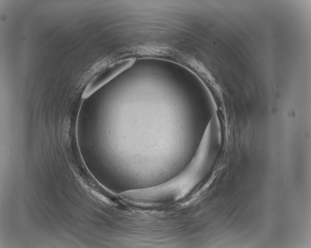 X0000084560201200703021432