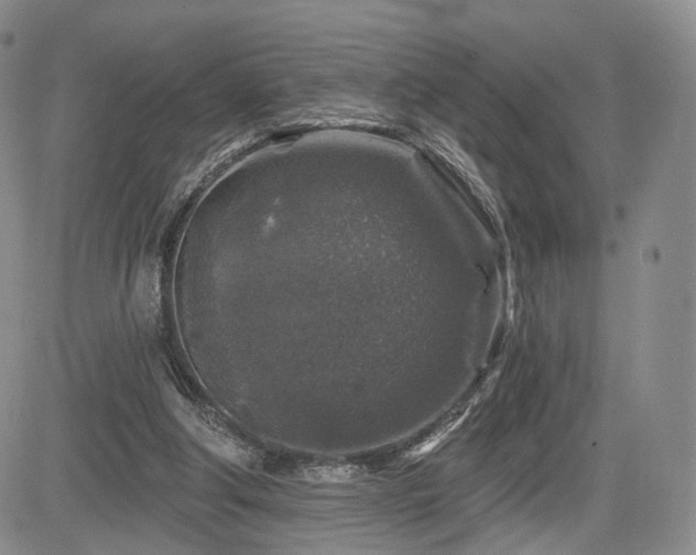 X0000084560202200703021432