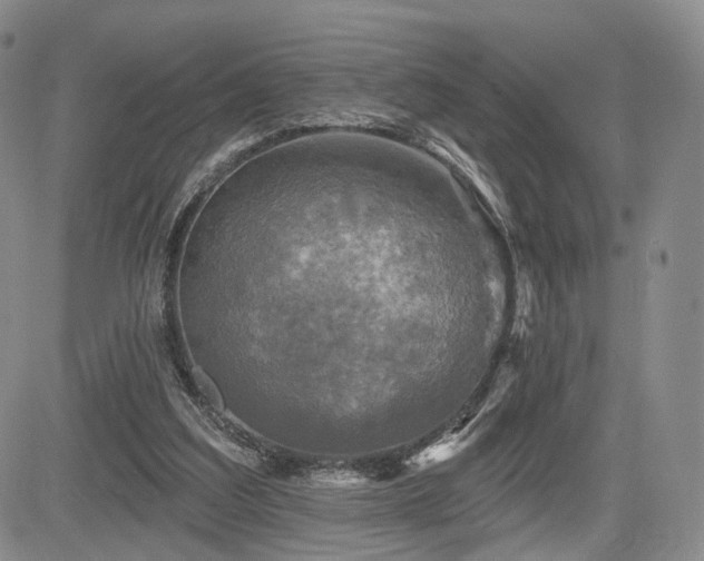 X0000084560203200703021432