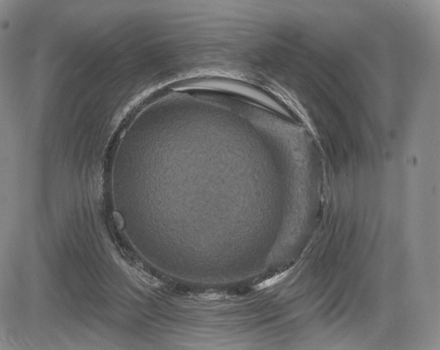 X0000084560204200703021432