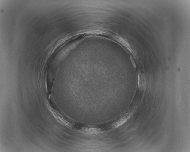 X0000084560205200703021432