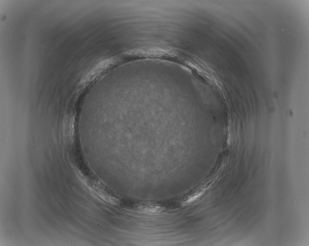 X0000084560206200703021432