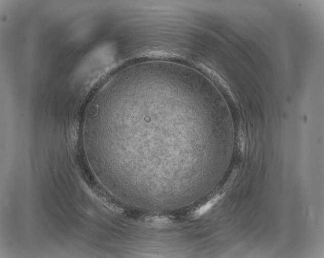 X0000084560208200703021432