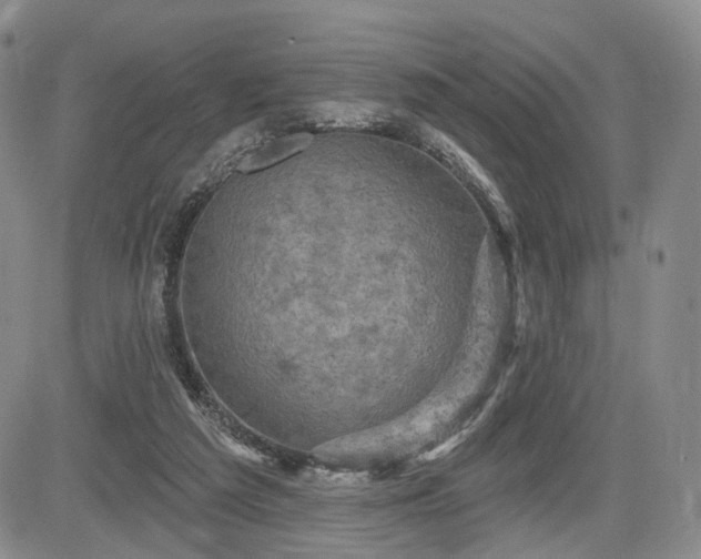 X0000084560209200703021432