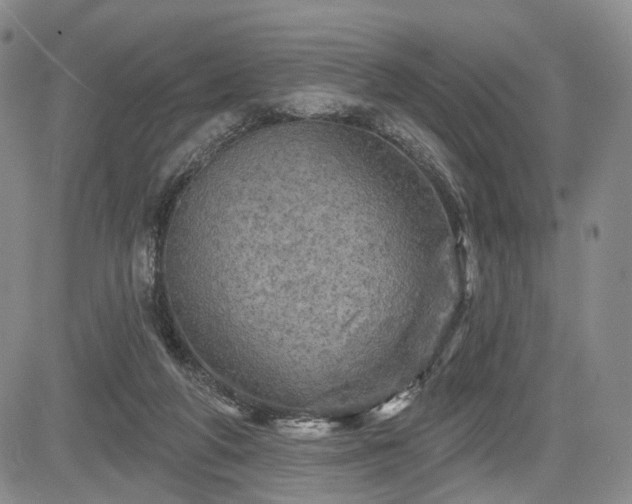 X0000084560210200703021432