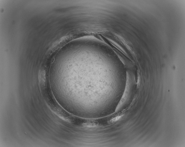 X0000084560211200703021432