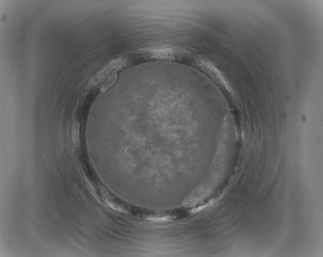 X0000084560213200703021432