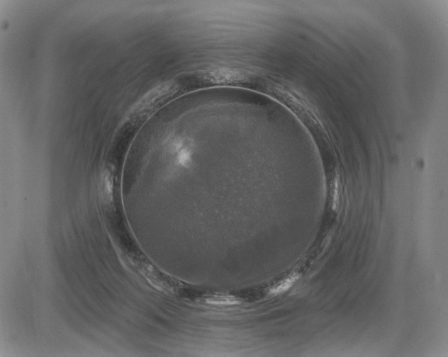 X0000084560214200703021432