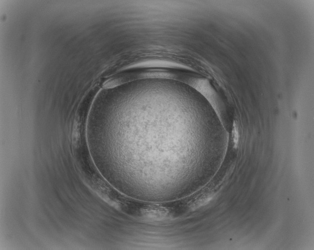 X0000084560215200703021432