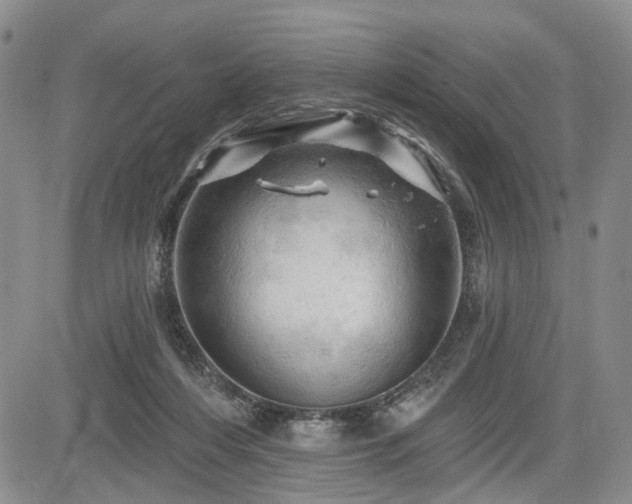 X0000084560216200703021432