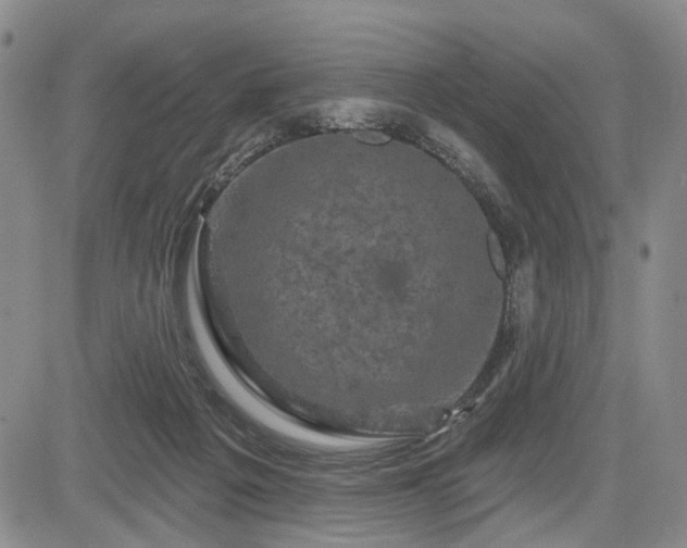 X0000084560217200703021432