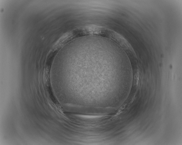 X0000084560218200703021432