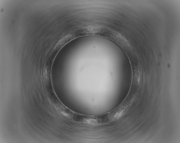 X0000084560220200703021432