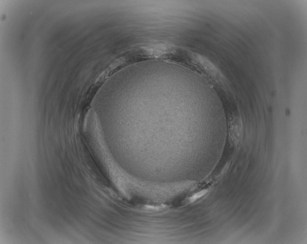 X0000084560221200703021432