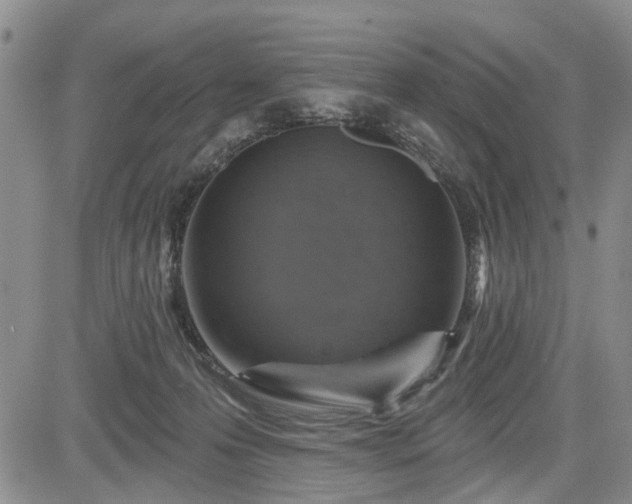 X0000084560223200703021432