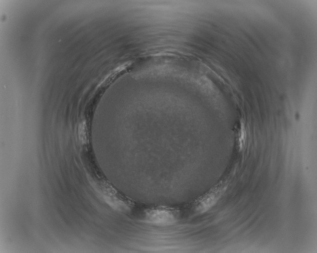 X0000084560224200703021432