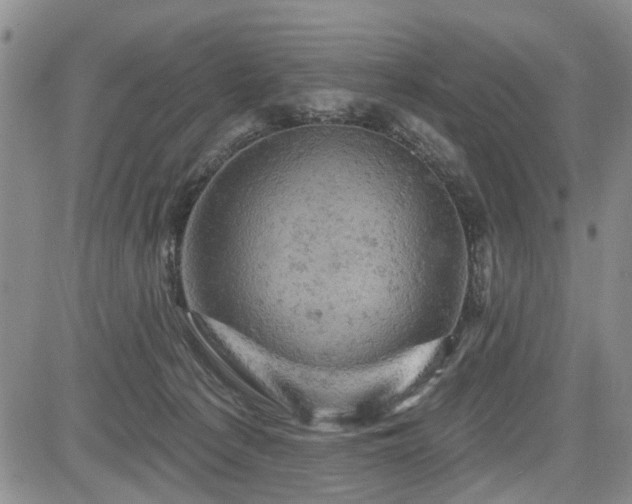 X0000084560225200703021432