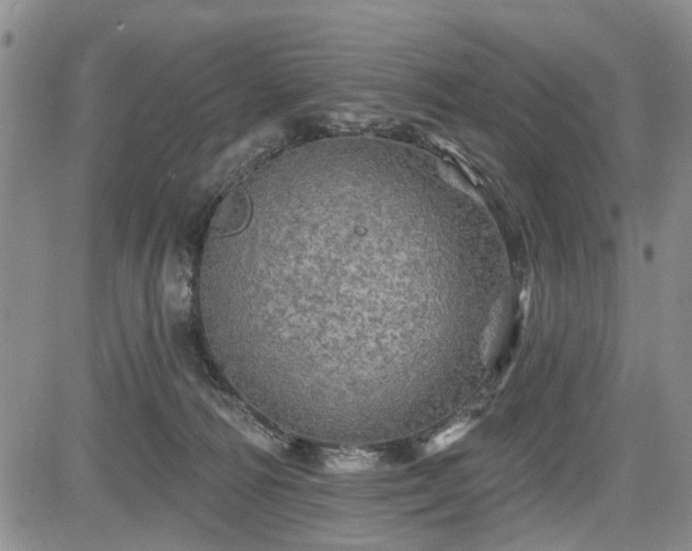 X0000084560226200703021432