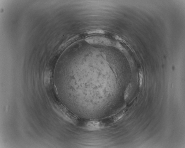 X0000084560227200703021432