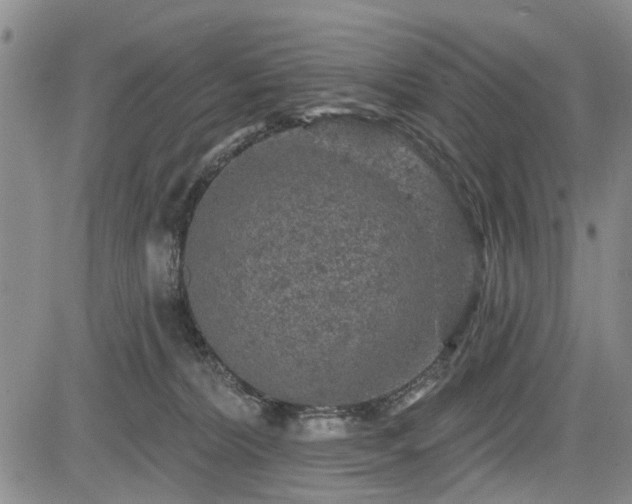 X0000084560228200703021432