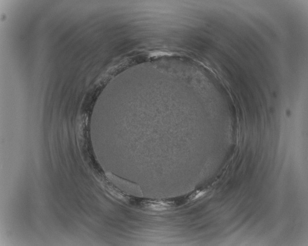 X0000084560229200703021432