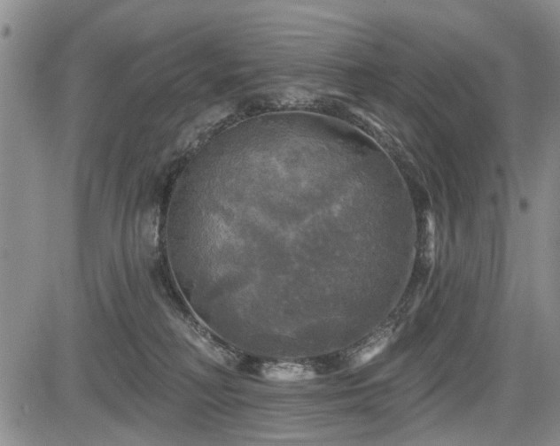 X0000084560230200703021431