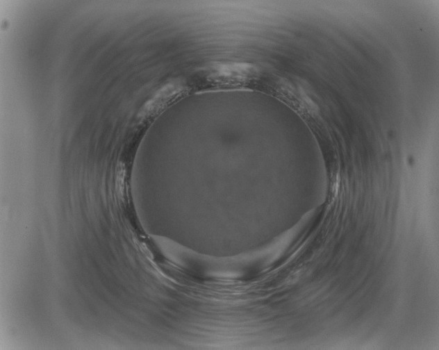 X0000084560231200703021431