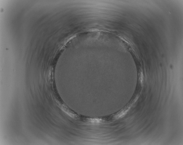 X0000084560233200703021431