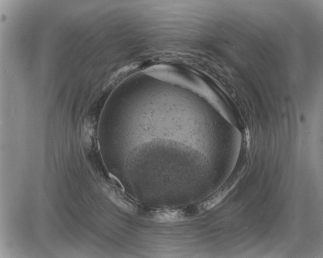 X0000084560235200703021431