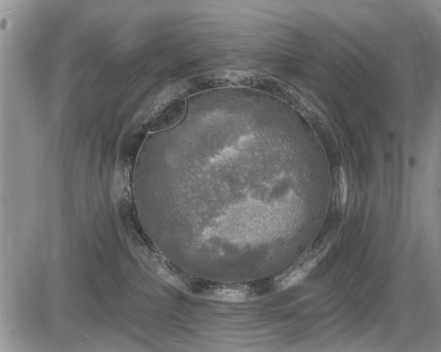 X0000084560236200703021431