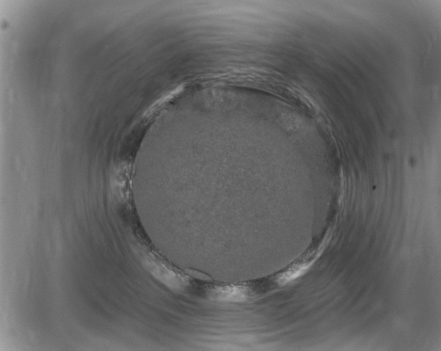 X0000084560237200703021431