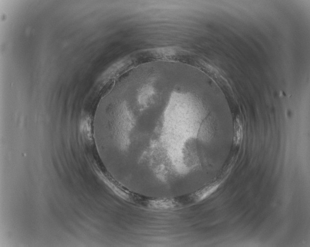 X0000084560238200703021431