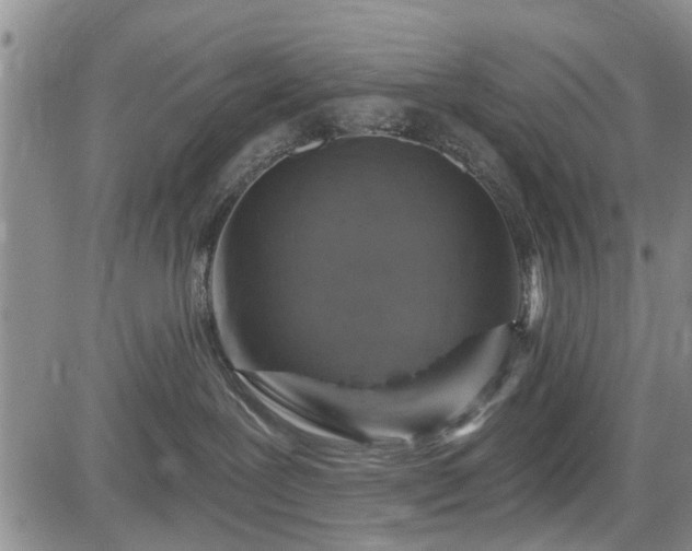 X0000084560239200703021431