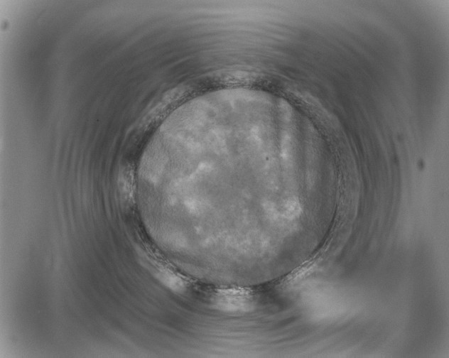 X0000084560240200703021431