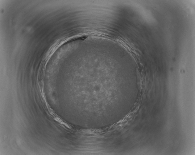 X0000084560241200703021431